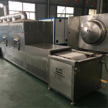 Tunnel Microwave Fruit And Vegetable Drying Machine