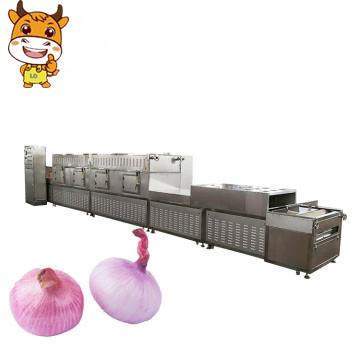 Large capacity automatic mesh belt onion drying plant for sale
