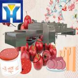 Tunnel Stainless Steel Microwave Drying Equipment Tea Leaf Drying Machine