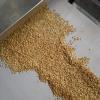 30KW Continuous Tunnel Type Microwave Oat Baking Equipment #4 small image