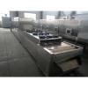 China Hot Sell Belt Conveyor Dried Mango Sterilizing Machine #2 small image