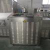 Best Sale 60kw Tunnel Microwave Butterfish Drying Machine #3 small image