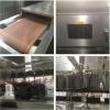 Microwave Belt Type Drying And Sterilization Machine for Turmeric powder