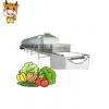 House hold Fruit and Vegetable Dehydrator / Food dryer machine