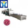 Energy Saving Tunnel Microwave Rose Drying Equipment