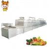 Tunnel Microwave Fruit And Vegetable Drying Machine #1 small image