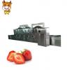 2018 Hot Sale Industrial Commercial Fruit Microwave dehydrator