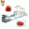 Factory sale tunnel style 50KW microwave fruit dehydration machine #1 small image
