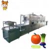 Vegetable Tunnel Microwave Dehydration Sterilization Equipment #1 small image