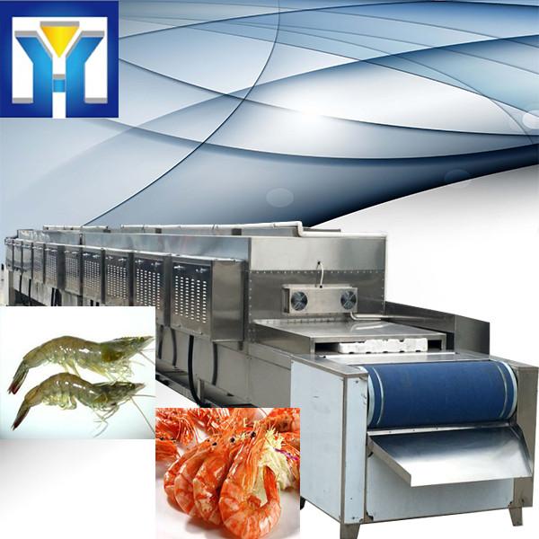 Continuous Belt Type Frozen Food Thawing Machine , Microwave Thawing Equipment #1 image