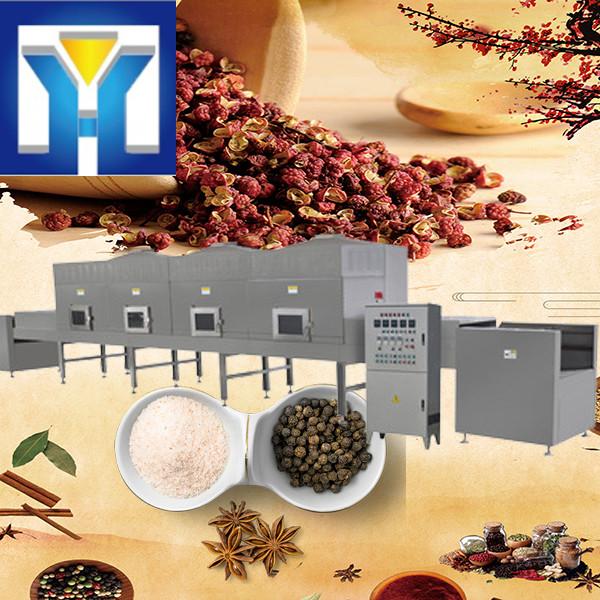 Industrial Tunnel Type Microwave Spices Dryer and Dehydrator Machine/Spices #1 image