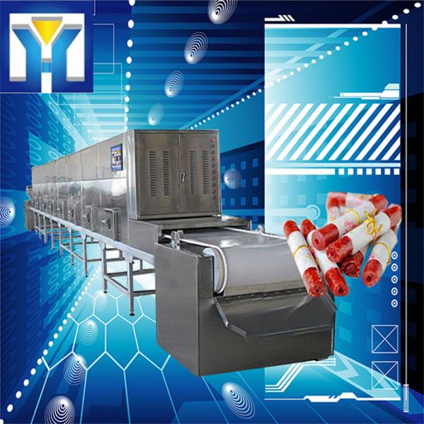 Microwave Drying Machine / Sterilization Meat Microwave Roasting Equipment For #1 image