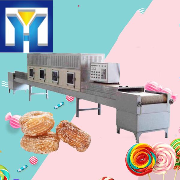 High Speed Microwave Drying Equipment for Potato Chips Food Processing Dryer #1 image