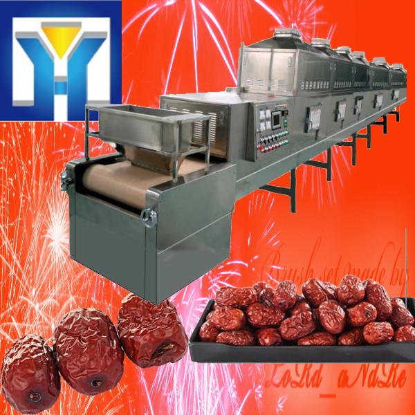 High Speed Microwave Drying Equipment for Potato Chips Food Processing Dryer #2 image