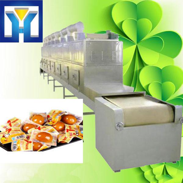 Automated Food Sterilization Equipment Microwave Food Drying Machine #2 image