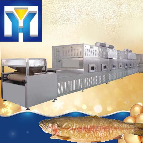 Fully Automatic Feed Microwave Dryer Seafood Microwave Drying Equipment, Food #1 image