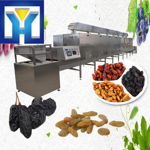 Adjustable Speed Microwave Drying Machine , nuts Drying Equipment #2 image