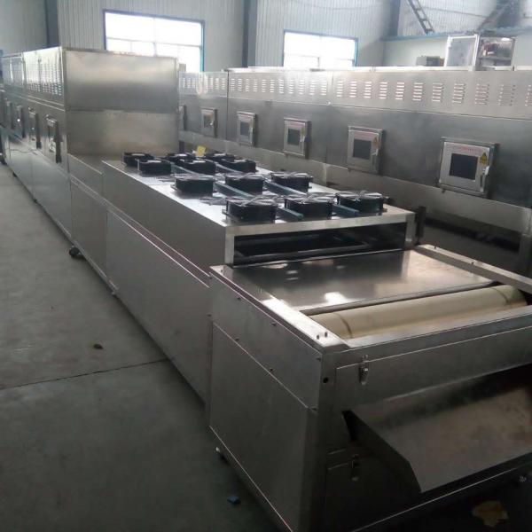 20KW Fast Drying Microwave onion Dryer Machine #3 image