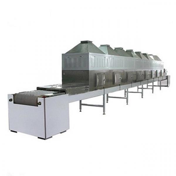 Continuous Belt Type Microwave Feed Additives Drying Machine #2 image
