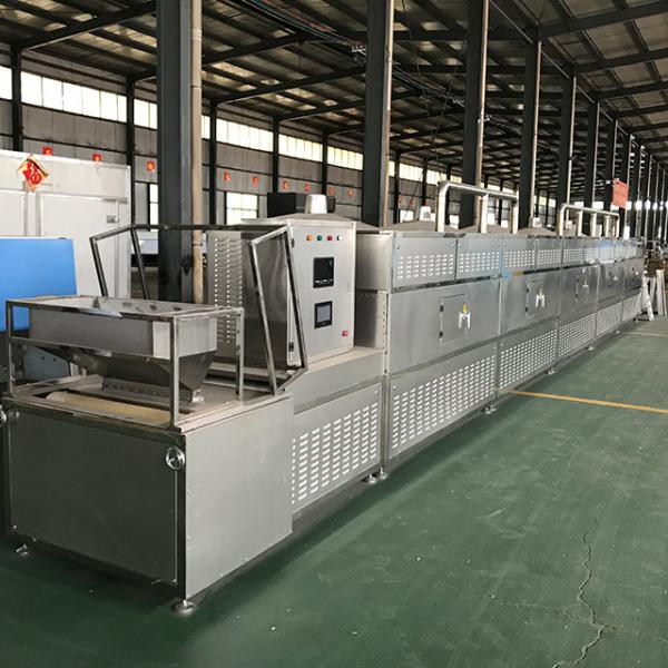 50 KW Hot Sale Industrial Microwave Sterilization Machine For Pickles #6 image