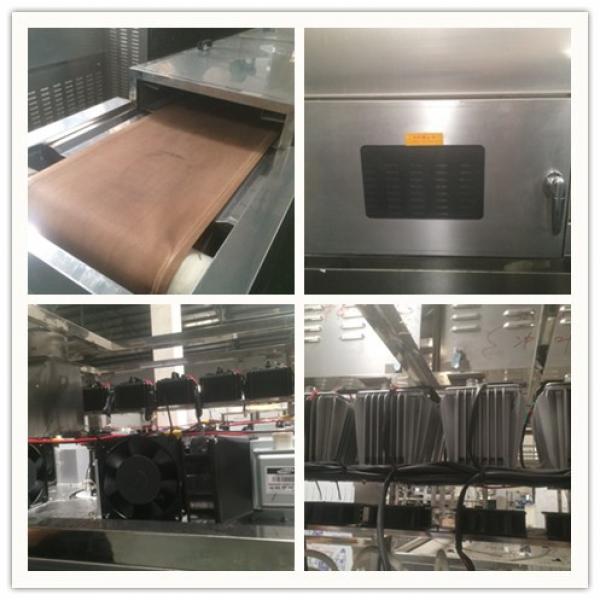 Industrial Tunnel Microwave Degreasing Machine For Meat Products #4 image