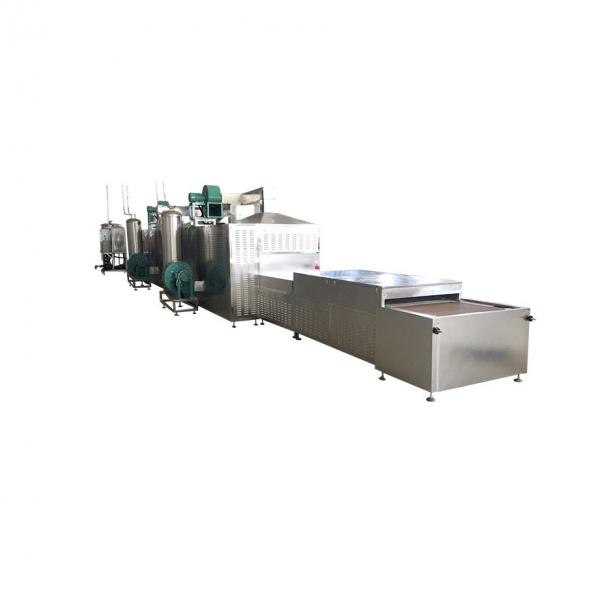 30KW Industrial Tunnel Continuous Microwave Battery Material Drying Oven Machine #3 image