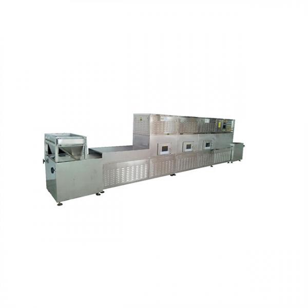 Factory Price 12kw Tunnel Microwave Glass Fiber Drying Machine With Stainless Steel #2 image