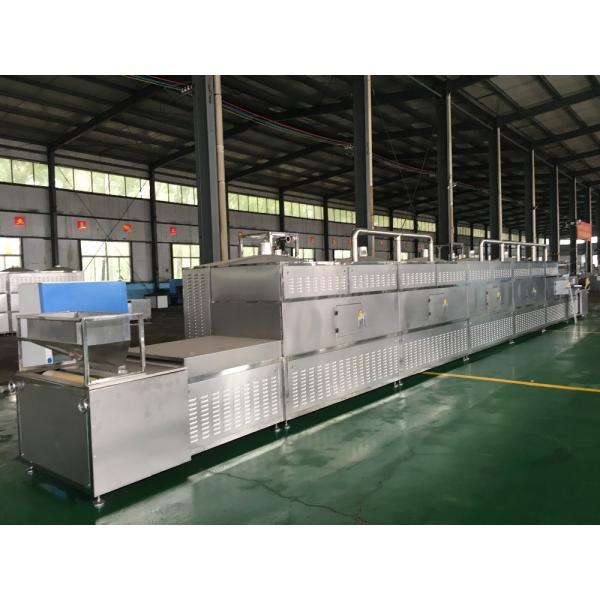 High heating speed drying curing buckwheat microwave dryer #3 image
