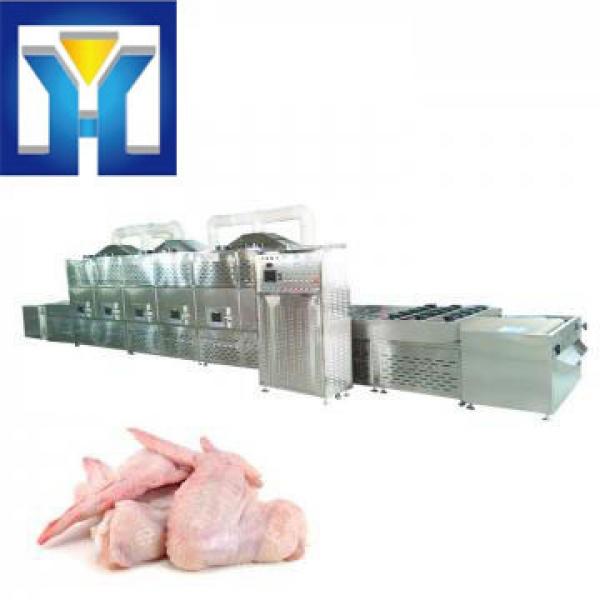 Automatic 20kw Chicken Wing Microwave Degrease Sterilization Machine #1 image