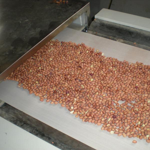 Industrial Peanut Microwave Baking And Roasting Machine #2 image