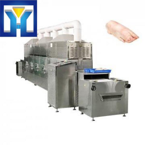 30kw Food Machine Trotter Microwave Degrease Sterilization Machine #1 image