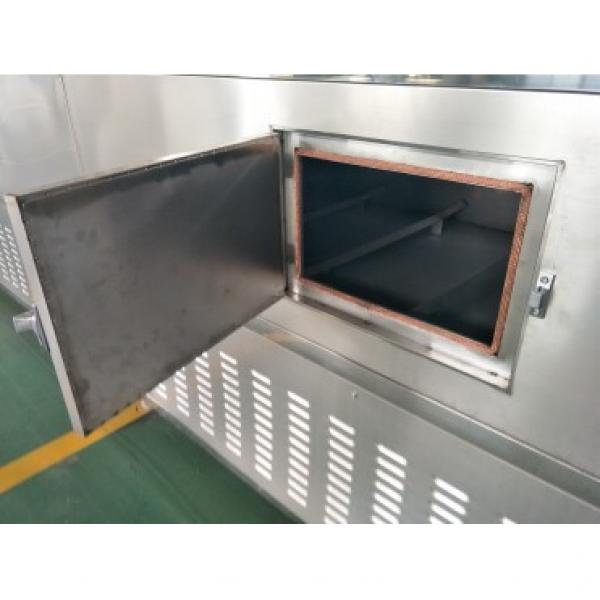 New Design Microwave Curing Oven Drying Equipment for Grain #3 image