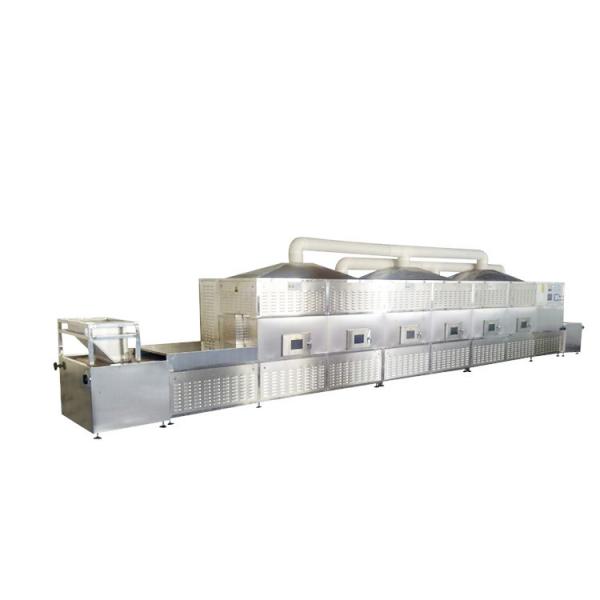 30 KW High Quality Industrial Microwave Sterilization Machine For Pickles #2 image