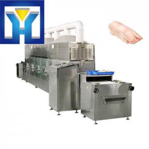 Save Time Tunnel Microwave Trotter Degreasing Machine #1 image