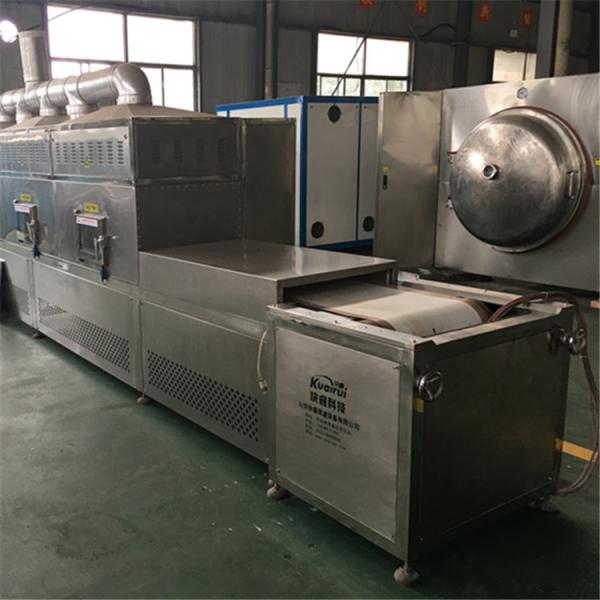 China Supplier Tunnel Microwave Oven Drying Machine With New CE Certification #3 image