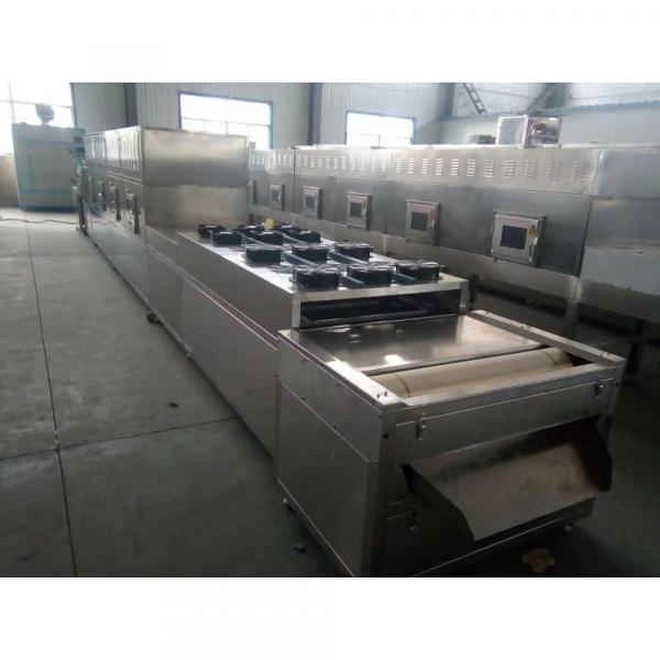 China Hot Sell Belt Conveyor Dried Mango Sterilizing Machine #2 image