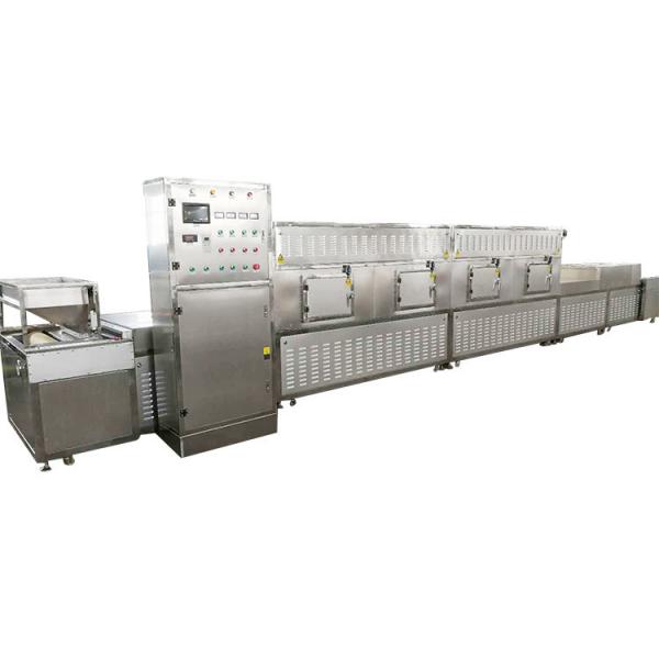20KW Industrial Microwave Drying Sterilization Machine For Fish Feed #2 image