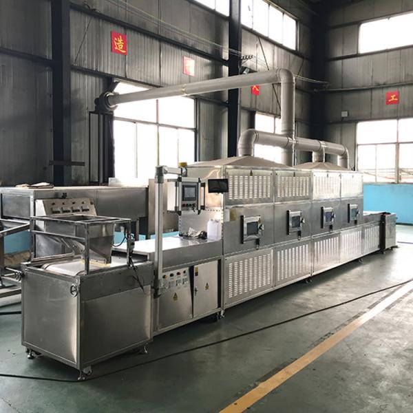 Conveyor Belt Microwave Drying and Sterilization Garlic Machine #2 image