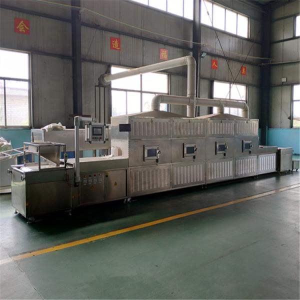 2018 New Type Industrial Microwave Degreasing Sterilization Machine For Duck Neck #3 image