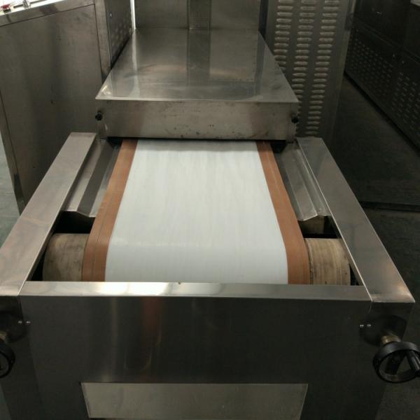 Belt Type Industrial 50kw Pet Food Microwave Drying Machine #5 image
