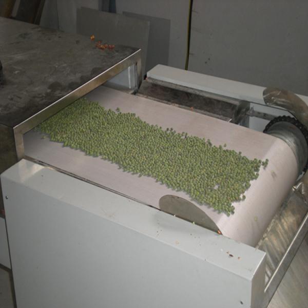 50KW Tunnel Microwave Drying Curing Machine For Green Beans #3 image