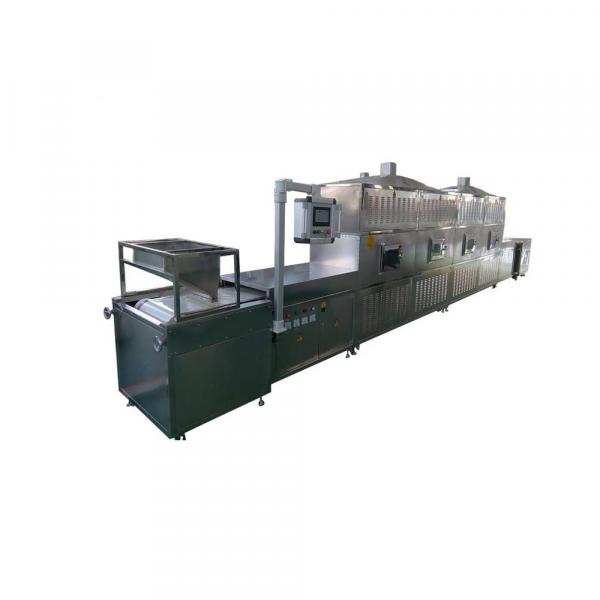 Factory sale tunnel style 50KW microwave fruit dehydration machine #2 image