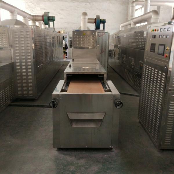 Good Capacity Tunnel 50kw Microwave Mango Powder Sterilization Machine #2 image