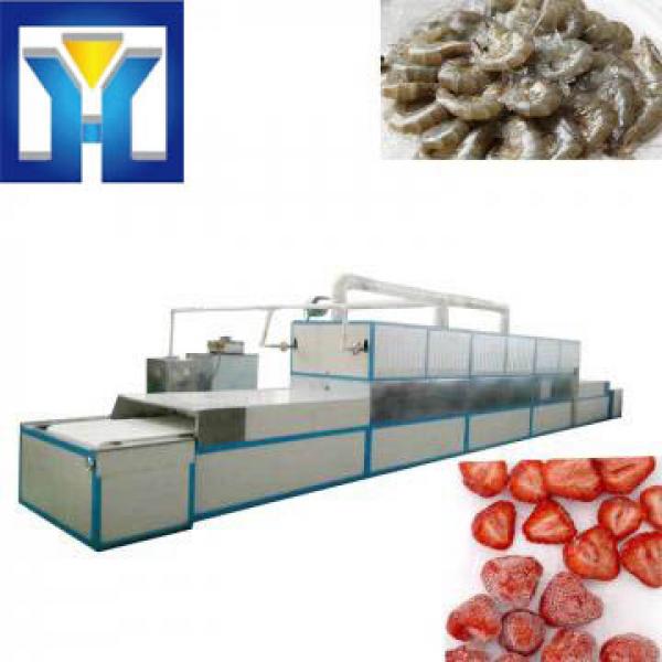 Full Automatic Ozone Industrial Meat Thawing Machine #1 image