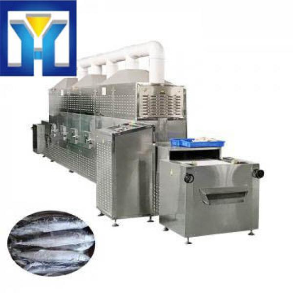2018 Hot New Product Microwave Fish Thawing Machine #1 image
