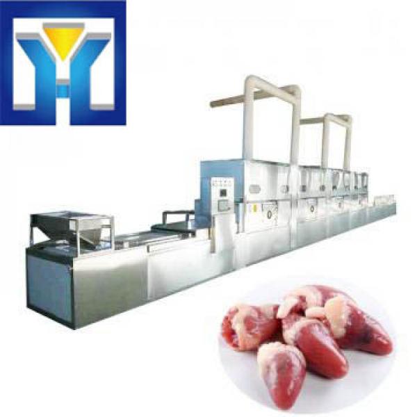 Microwave Vacuum Drying Machine For Chicken Heart #1 image