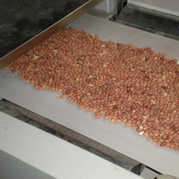 Microwave Macadamia Drying Machine Macadamia Nut Roasting Machine #2 image