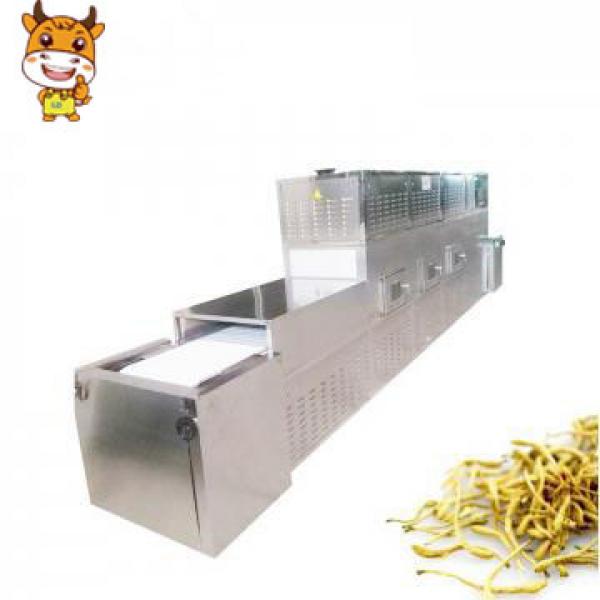 Tunnel Microwave Honeysukle Tea Drying Sterilizing Machine #1 image
