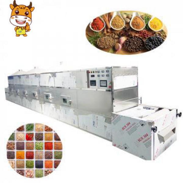 Stainless Steel Industrial Microwave Herb Drying Machine #1 image