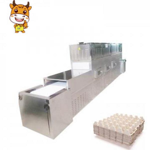 Automatic Tunnel 12kw Egg Tray Microwave Drying Machine with Stainless Steel #1 image